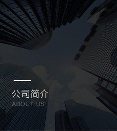 公司簡介